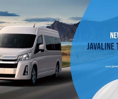 artikel javaline trans2