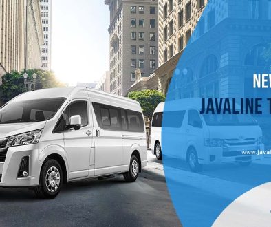 artikel javaline trans3